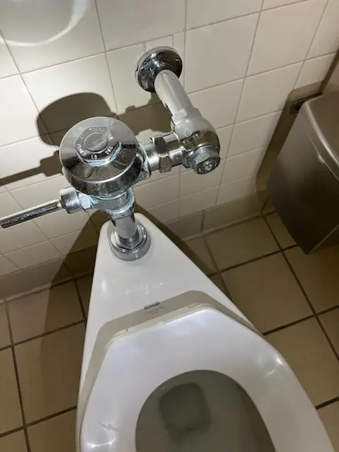 Fixture installation and repair for Garbage Disposal in New Horizons South Bay